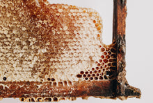 Load image into Gallery viewer, Eucalyptus Honey