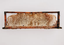 Load image into Gallery viewer, Fynbos Honey
